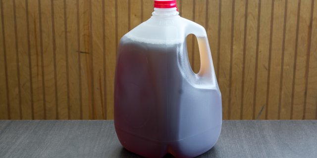 Gallon Unsweet Tea