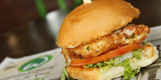 Crispy Haddock Sandwich