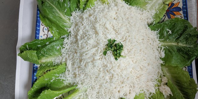 Rice