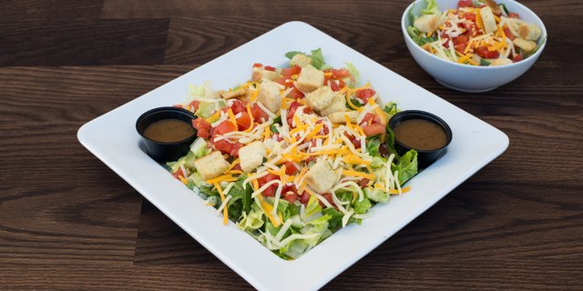 Entree Garden Salad