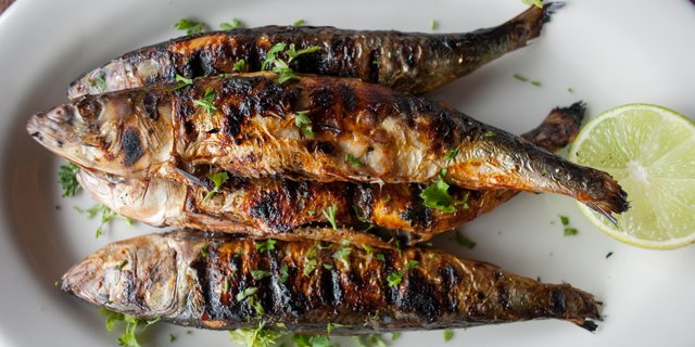 Grilled Sardines