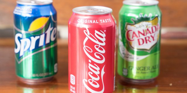 Assorted Individual Sodas