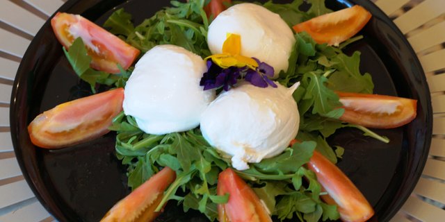 Burrata Cheese Salad