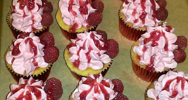 JociCakes