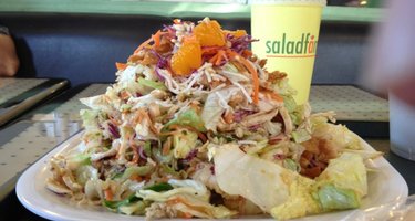 Salad Farm
