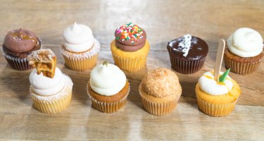 Sweet Cupcakes