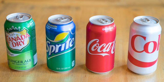 Assorted Individual Sodas