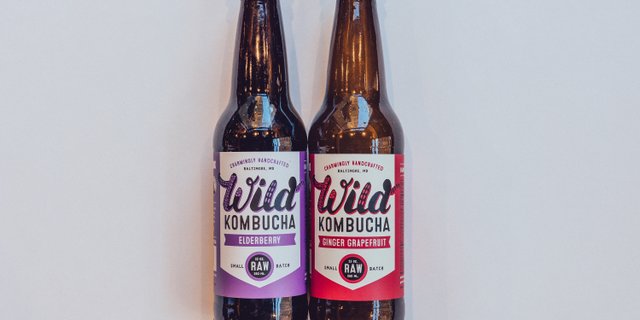 Wild Kombucha