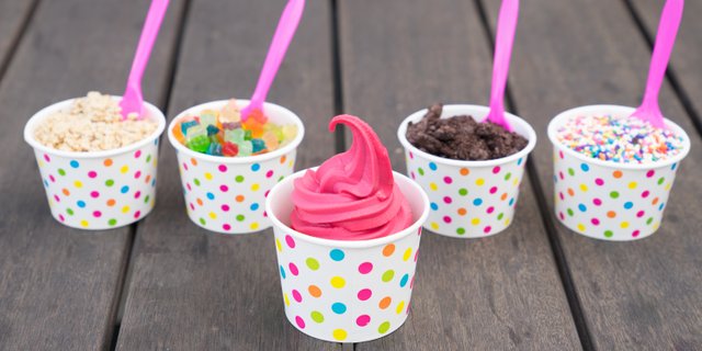 No Sugar Flavor of the Day Frozen Yogurt