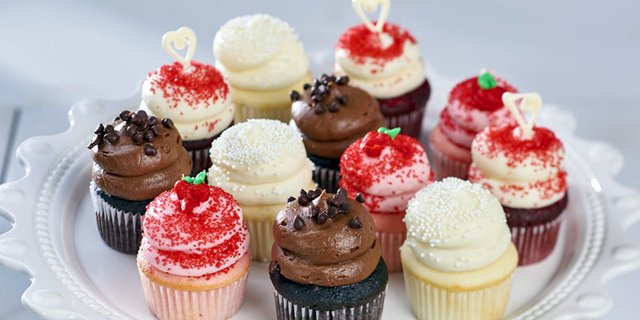 Celebration Mini Cupcake Box