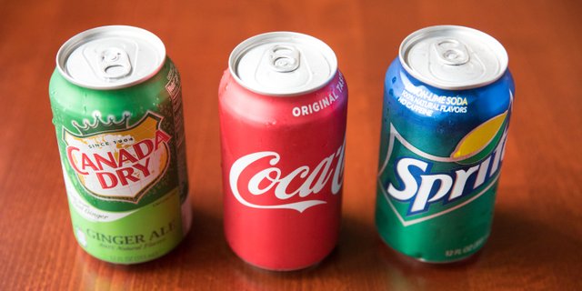 Assorted Individual Sodas