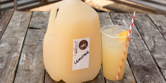 Gallon Lemonade