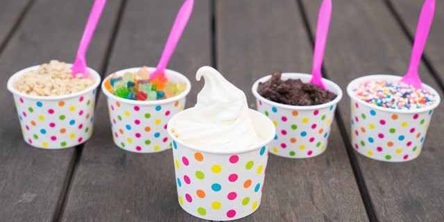 Non-Dairy Flavor of the Day Frozen Yogurt