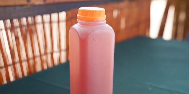Gallon Probiotic Fruit Soda