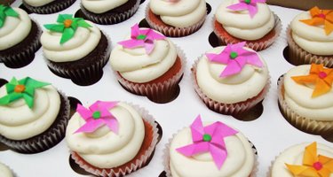 Our Cupcakery