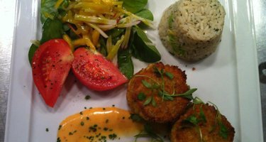 Elite Cuisine Catering