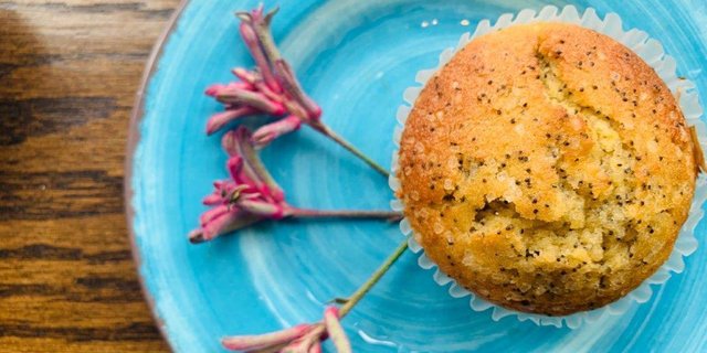 Lemon-Poppy Muffin