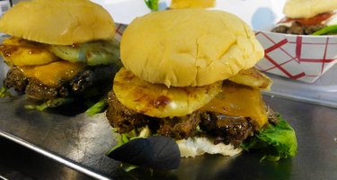 Pounders Burgers