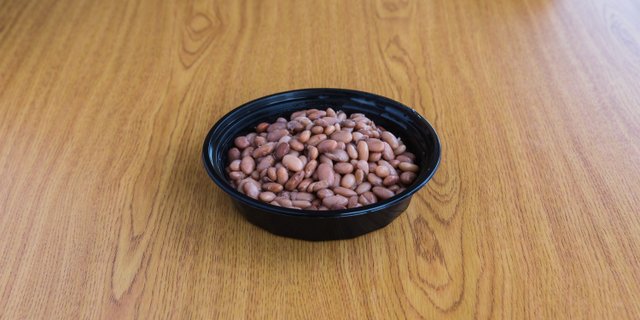 Pinto Beans