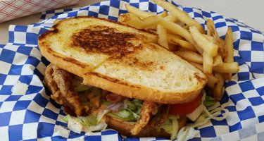 Shark Bait Food Truck