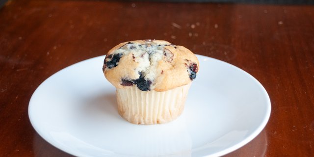 Blueberry Muffin