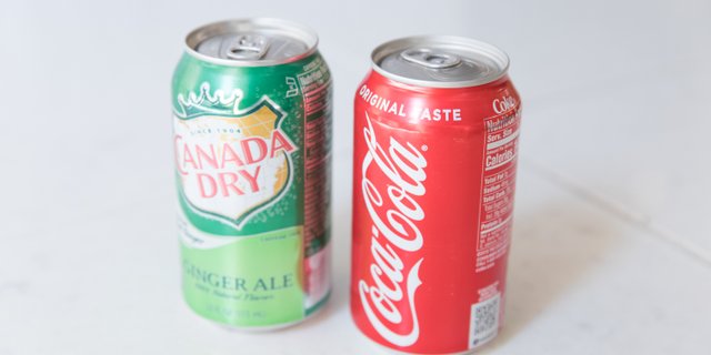 Assorted Individual Sodas