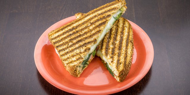 Roasted Turkey Panini