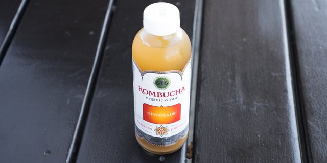 GT's Gingeraid Kombucha