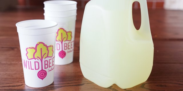Gallon Lemonade