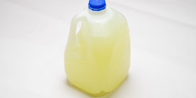 Gallon Tropicana Lemonade