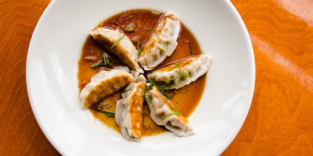 Vegetable Potstickers