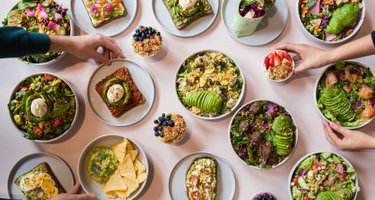 Avocaderia