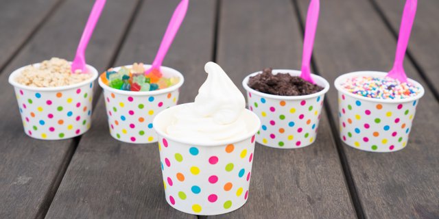 Plain Tart Frozen Yogurt