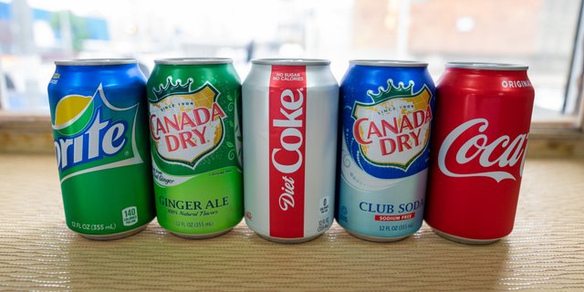 Assorted Individual Sodas