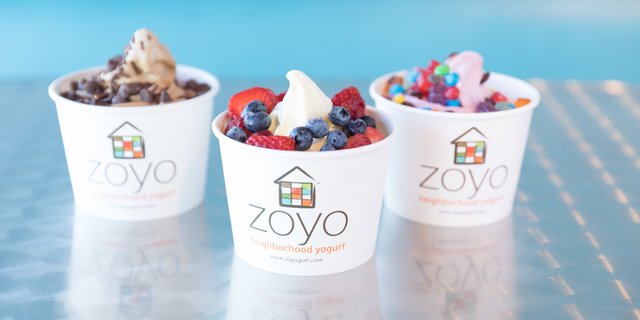 6oz Regular Frozen Yogurt