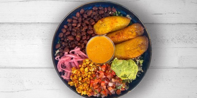 Pura Vida Warm Bowl