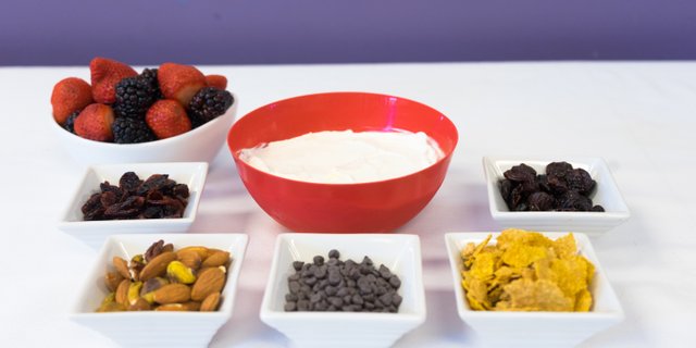 Greek Yogurt Breakfast Bar