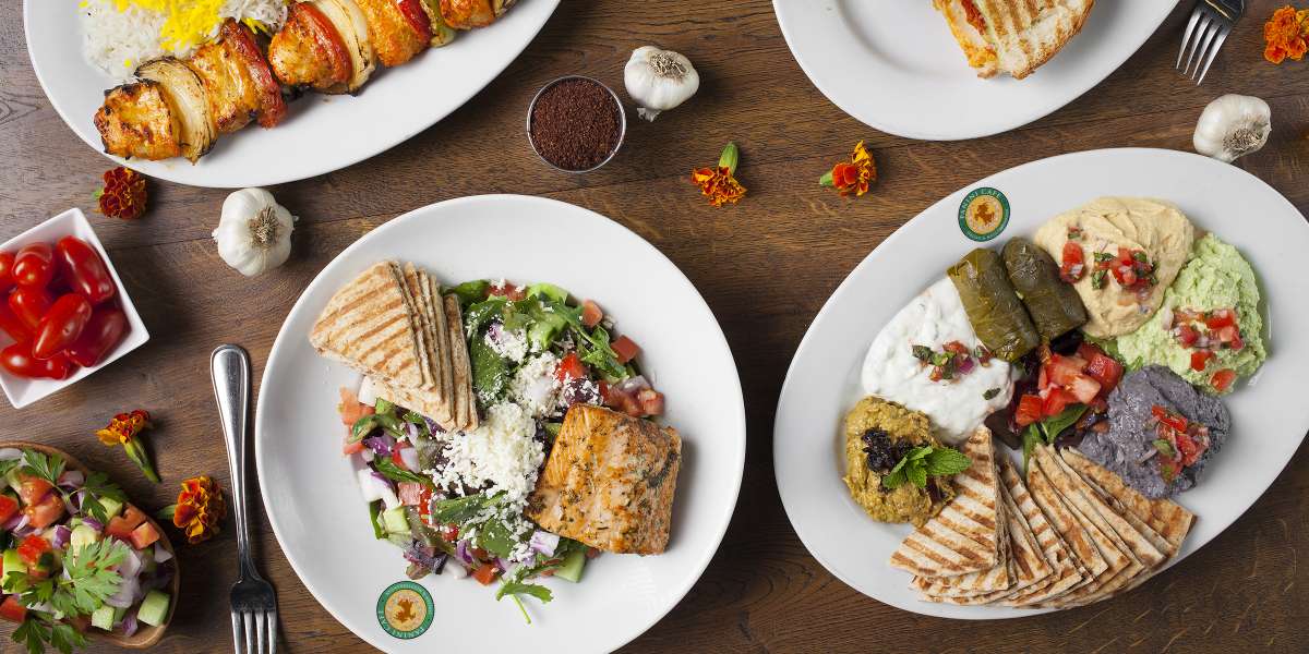 Panini Kabob Grill