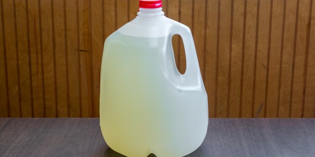 Gallon Lemonade