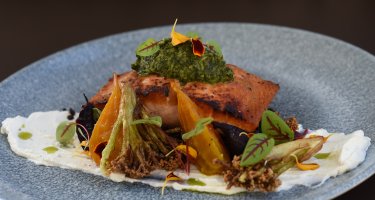 Napa River Grill