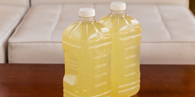 Gallon Lemonade