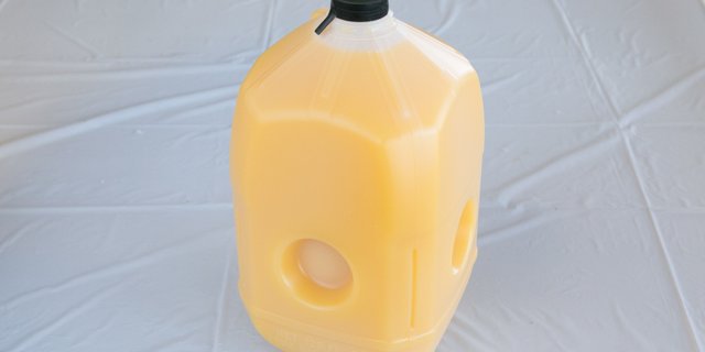 Gallon Orange Juice