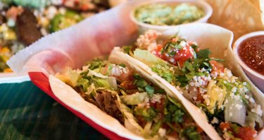 Taco Mama