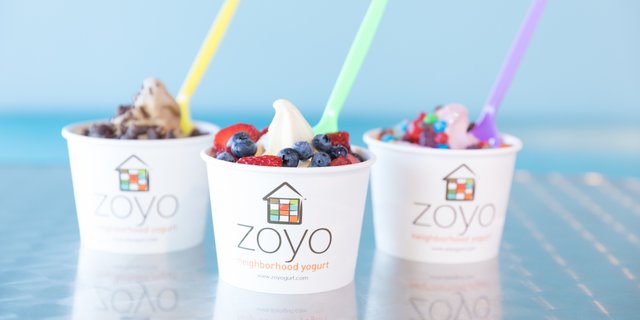 8oz Indulgent Frozen Yogurt