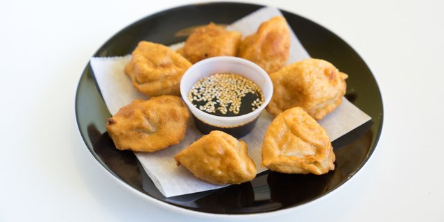 Pan-Fried Gyoza Tray