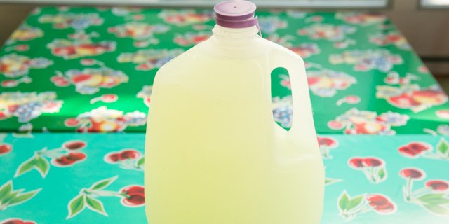 Gallon Lemonade