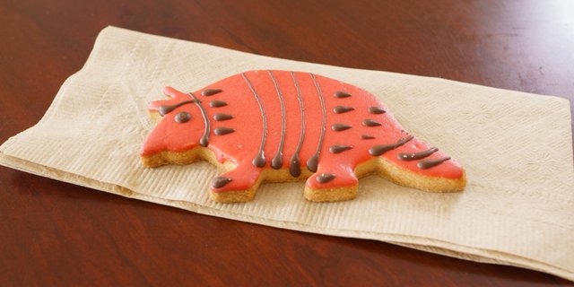 Willy's Armadillo Cookie