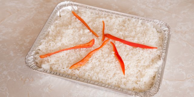 Arroz Blanco