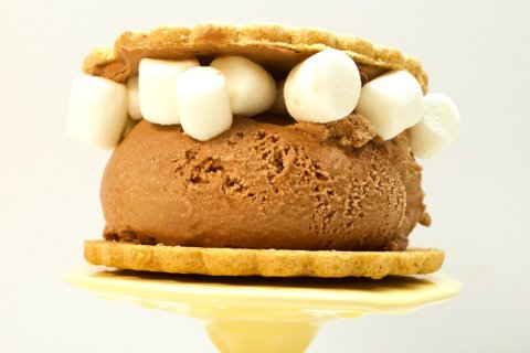 S'mores Sandwich