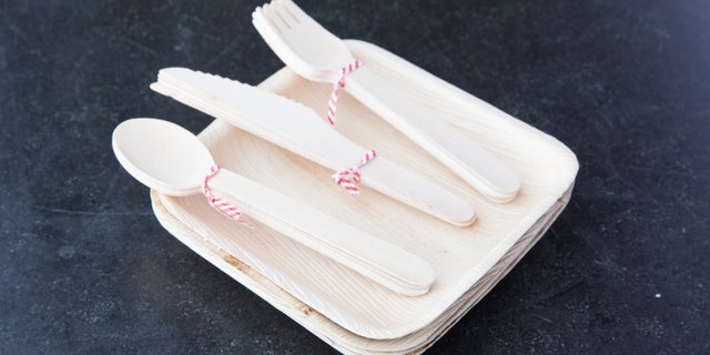 VerTerra Compostable Disposables